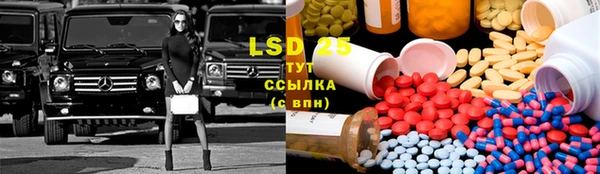 индика Аркадак