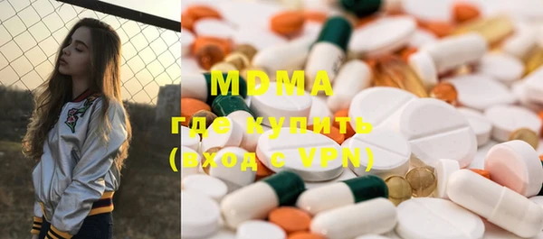 индика Аркадак
