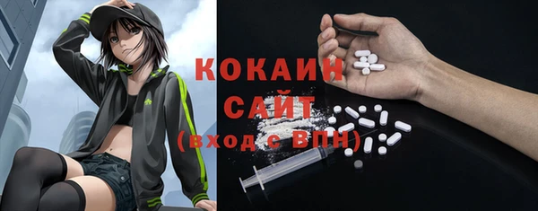 индика Аркадак