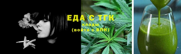 индика Аркадак
