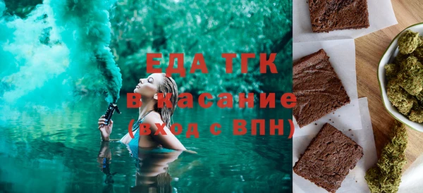 индика Аркадак